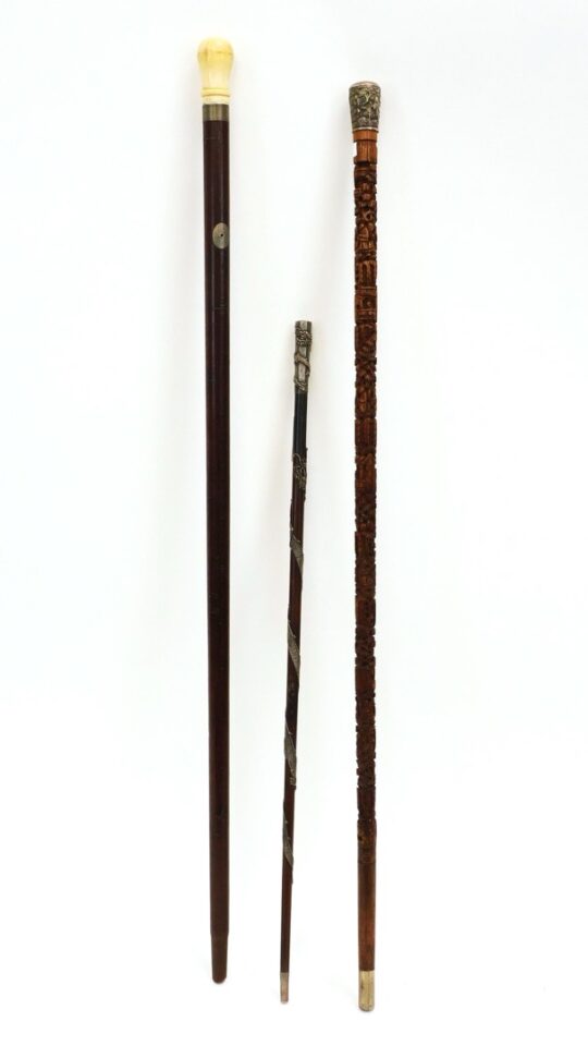 (3) Chinese Walking Sticks