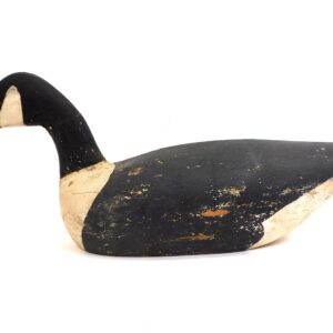 Duck Decoy