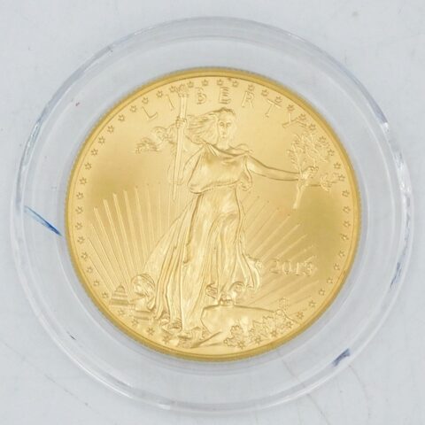 2013 $50 Gold Eagle Coin